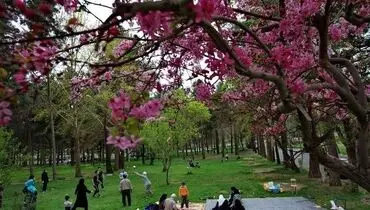 حاشیه درباره وزیر کشور اینبار در‌ ماجرای تعطیلی بوستانها داغ شد+ عکس