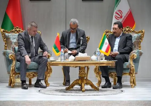 پشت‌پرده صف تخصیص ارز از زبان جانشین وزیر صمت
