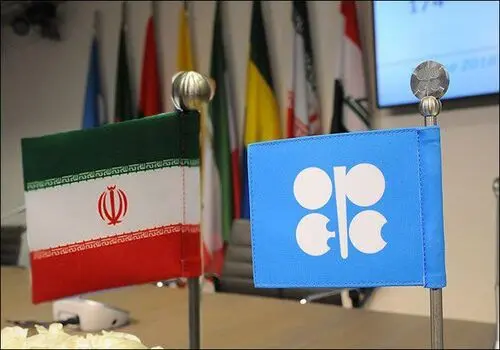 هشدار رئیس سازمان توسعه تجارت درباره تأثیر منفی عوارض صادراتی بر تولید