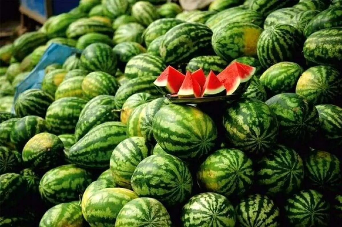 ترفندهای تشخیص هندوانه شیرین و رسیده