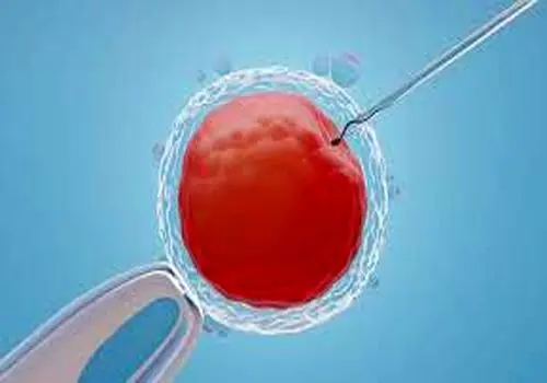 فرق خمیر دندان کودک و بزرگسال: چرا انتخاب درست ضروری است؟
