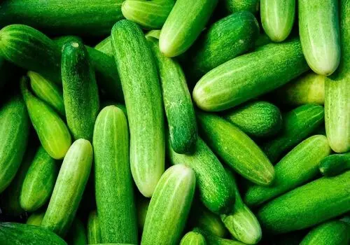 ۷ خاصیت شگفت‌انگیز خیار

