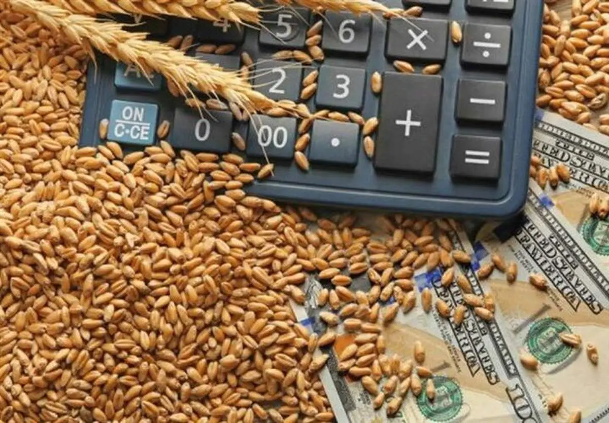 خرید تضمینی گندم ۱۴۰۴-۱۴۰۵ رسماً تصویب شد