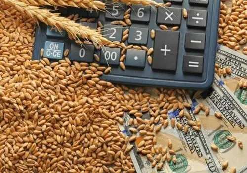 قیمت واقعی گندم اعلام شد