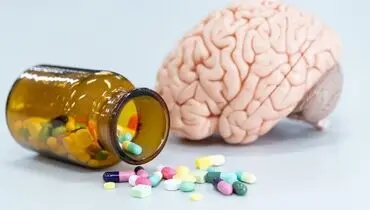  کمبود این ویتامین‌ها مغز را تهدید می‌کند

                                           