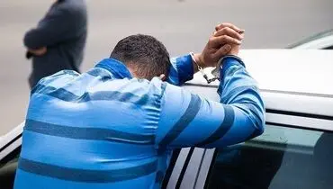 رقم باورنکردنی کلاهبرداری یک شرکت هرمی در ساری؛ ۱۰۰۰ میلیارد تومان از ۶۰۰ مالباخته!