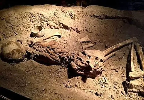 کشف اسکلت زن باردار چهار هزار ساله در موزه سمنان