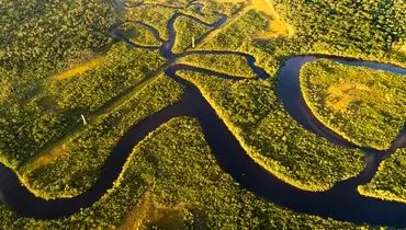 شگفتی های جنگل آمازون: ریه های کره زمین
