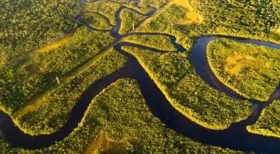 شگفتی های جنگل آمازون: ریه های کره زمین
