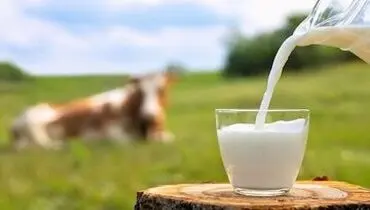 شیر را گرم بنوشیم یا سرد؟
