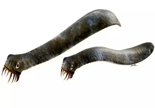 راز دندان‌های فوق‌العاده تیز در جانوران باستانی

