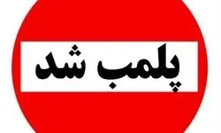 کارگاه تولید غیرمجاز سوسیس و کالباس با گوشت گراز پلمب شد + فیلم