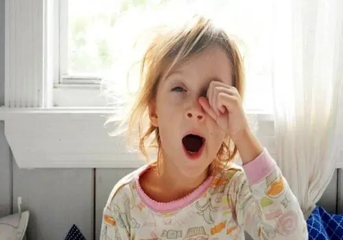 درمان کم خونی با مصرف این میوه ها