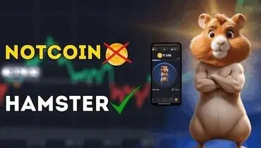 واکنش جالب رضا رشیدپور به همستر تلگرام
