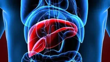 الکل چگونه به کبد آسیب می‌زند؟
