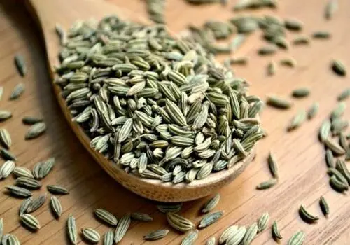 مصرف بیش از حد این گیاه در قاعدگی خطرناک است