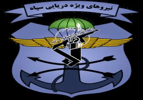 اجرای عملیات اسپای نیروهای یگان ویژه صابرین سپاه +فیلم