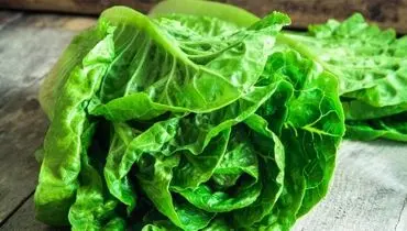 نکات طلایی برای تازه نگه داشتن کاهو در یخچال
