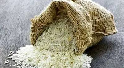 مجلس درباره واردات برنج حرف آخر را زد
