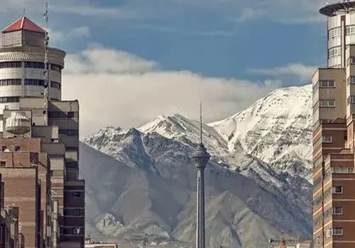  تجدید میثاق اعضای دولت با آرمان‌های امام خمینی(ره)