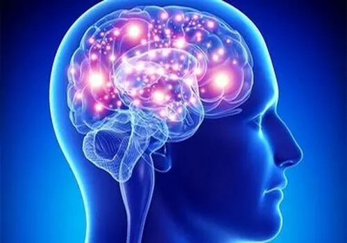 رژیم غذایی مدیترانه‌ای برای کند شدن پیری مغز