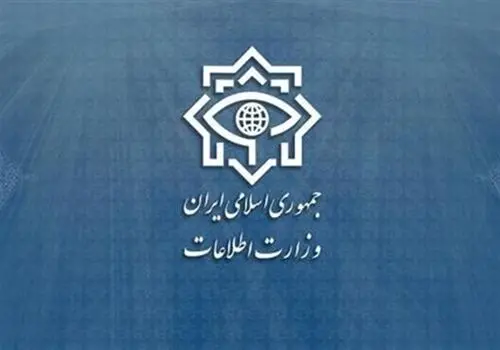 وزارت اطلاعات: ۱۴ عامل دشمن در ۴ استان دستگیر شدند
