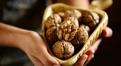 گردو؛ خوراکی کوچک با تأثیر بزرگ بر دیابت