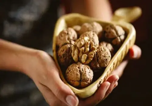 گردو؛ محافظ طبیعی بدن در برابر التهاب و پیری سلولی

