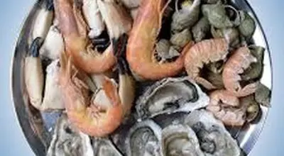 مسمومیت با این غذای دریایی را جدی بگیرید
