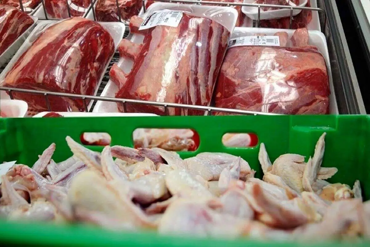 مرغ و تخم مرغ و گوشت ارزان می شود؟