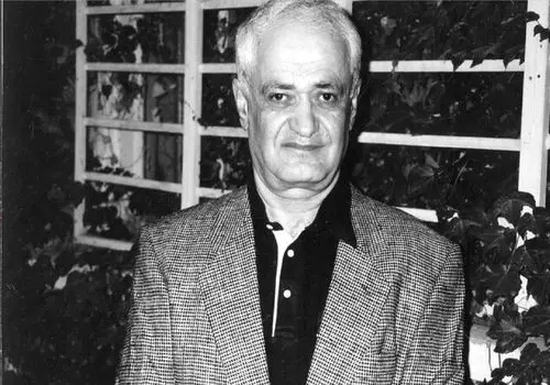 مترجم «دنیای سوفی» درگذشت