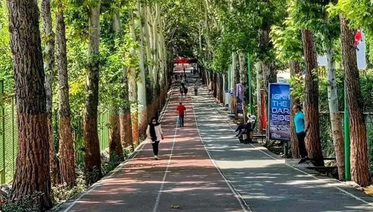 اینجا نفس کشیدن، حق عضویت دارد!