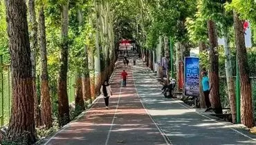 اینجا نفس کشیدن، حق عضویت دارد!