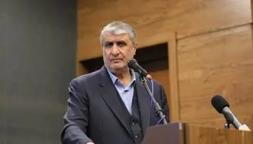 اسلامی: مشارکت با بخش خصوصی را در سازمان انرژی اتمی کلید زدیم

