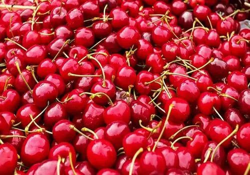 میوه خوشمزه ای که ذهن شما را آرام می‌کند