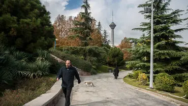 تداوم وضعیت قابل قبول هوای تهران 