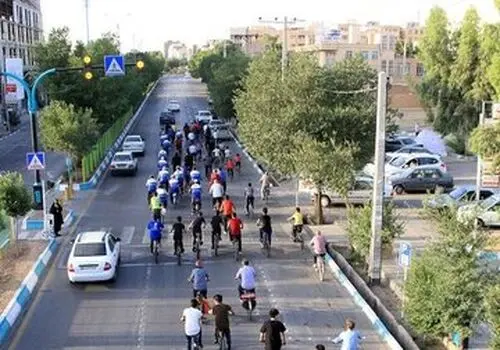 تلاش پلیس برای بازگرداندن شیر دریایی