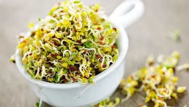 فکرش را هم نمی کنید این گیاه ضدکلسترول، ضد دیابت، ضدچاقی و پاک کننده کبد باشد
