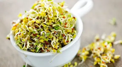 فکرش را هم نمی کنید این گیاه ضدکلسترول، ضد دیابت، ضدچاقی و پاک کننده کبد باشد