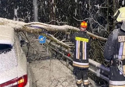 دستگیری سه عامل حمله وحشیانه به زوج سالمند در اهر+ فیلم