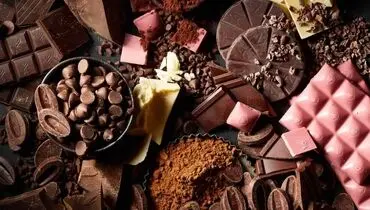 خوردن این شکلات خاص، باعث تولید سلول های بنیادی در بدن تان می شود+ فیلم
