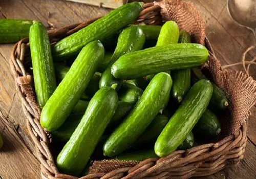 خیار؛ میوه‌ای ساده با خواص تغذیه‌ای شگفت‌انگیز


