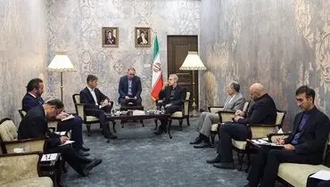 مشاور امنیت ملی و معاون امور خارجه سوئیس با لاریجانی دیدار کرد