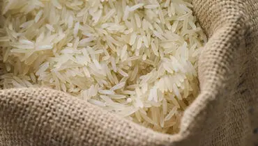 برنج پاکستانی خبرساز شد؛ بررسی ابعاد جنجالی ماجرا