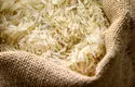برنج پاکستانی خبرساز شد؛ بررسی ابعاد جنجالی ماجرا