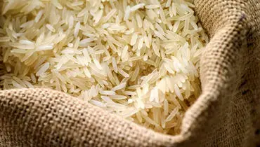 برنج پاکستانی خبرساز شد؛ بررسی ابعاد جنجالی ماجرا