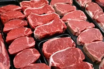قیمت جدید انواع گوشت قرمز