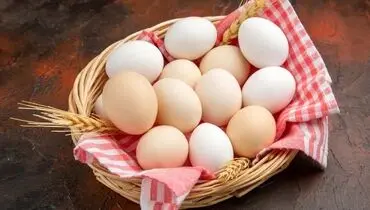 اثر تخم مرغ بر سرطان؛ از شایعه تا واقعیت