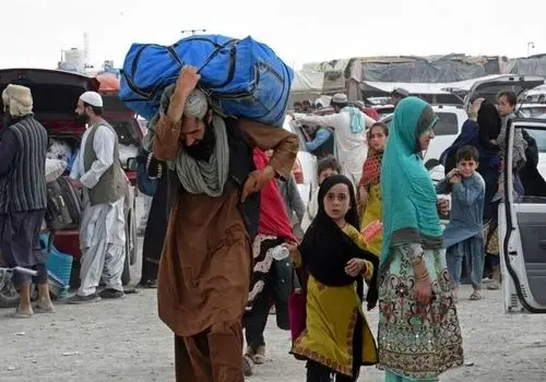  دادستان قشم: ۱۱۸ مغازه متخلف در اجاره اتباع غیرمجاز پلمب شد 