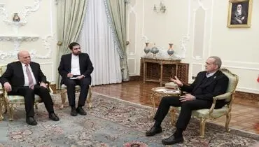 پزشکیان: روابط دو ملت ایران و عراق تا به امروز پایدار بوده و پس از این نیز پایدار خواهد ماند 